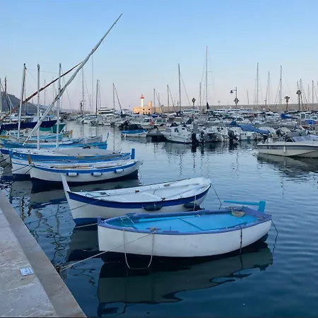 2 Pieces Climatise A Cote De La Rue Palmaro Appartement